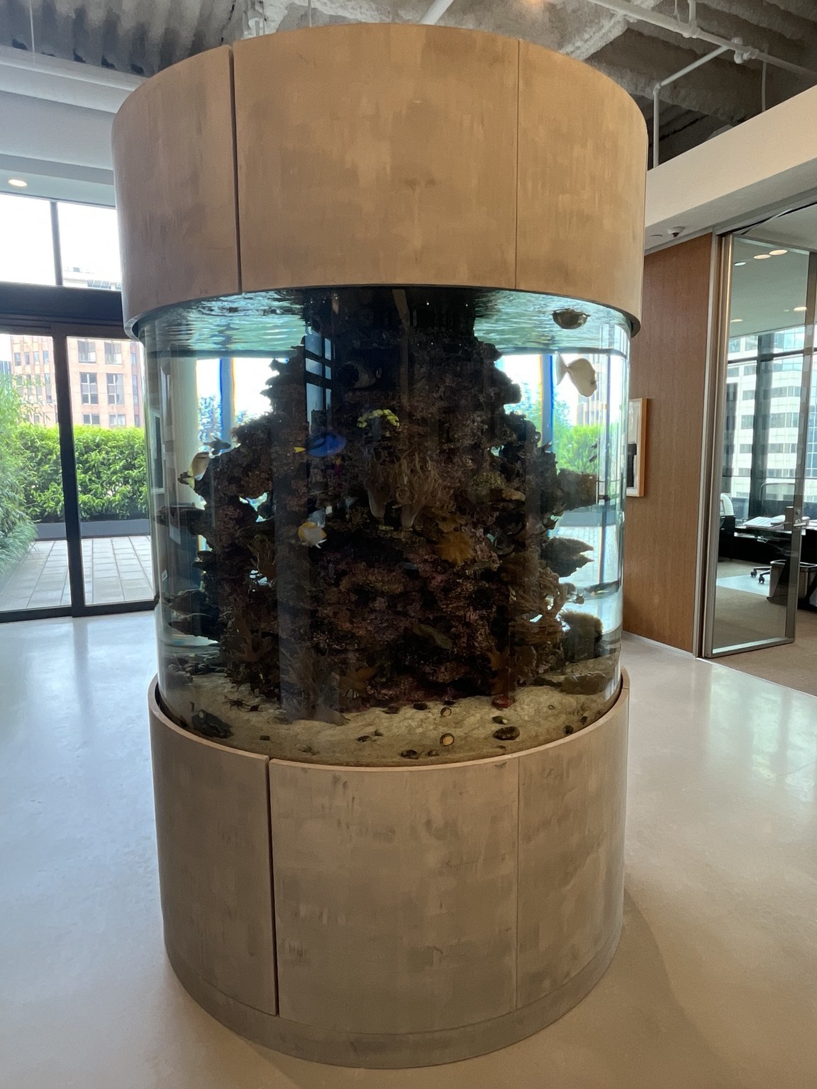 A cylindrical aquarium in a bright New York interior