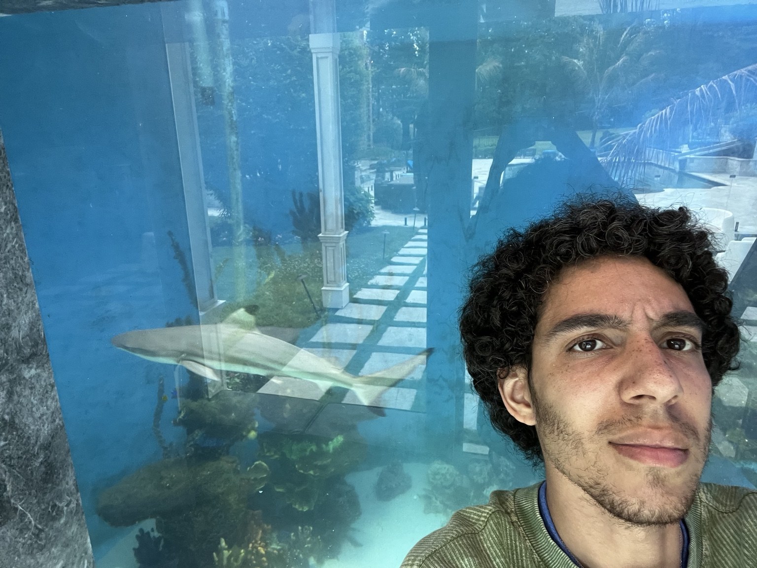 Alkiviades in front of Tracy Morgan's pool-house shark tank